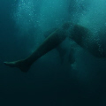   There photos were captured recently Lizard Island. went film coral spawning. used Canon SLR. Island spawning SLR  